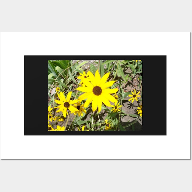 Yellow daisy Wall Art by Jujucreation